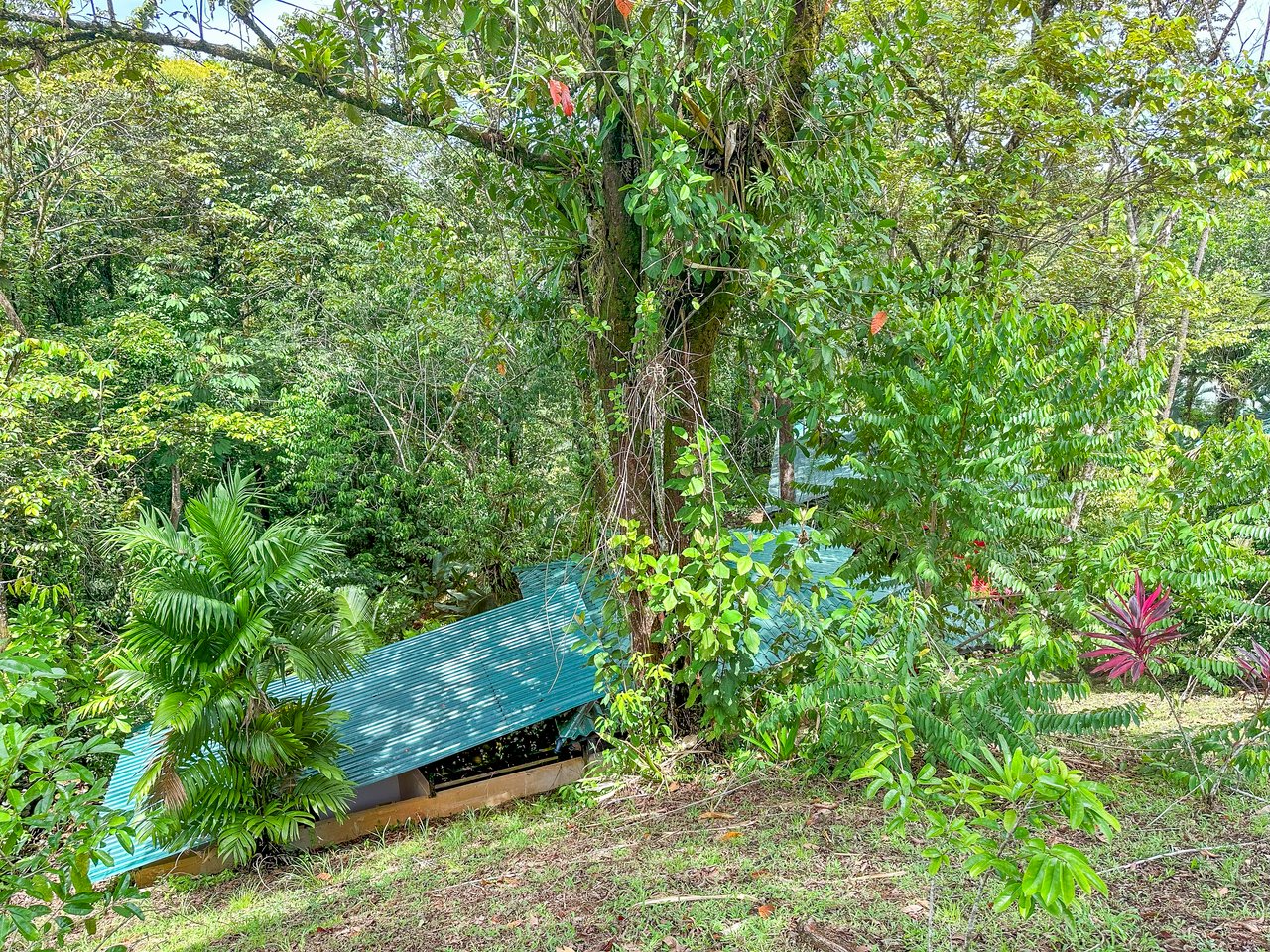 Ojochal Property for Sale – Cabins, Restaurant & 3-Bed Home