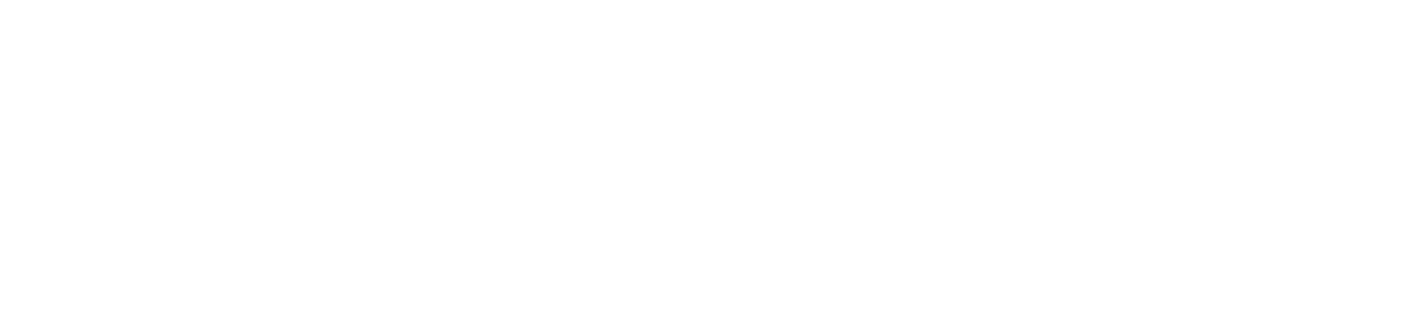 Light Logo