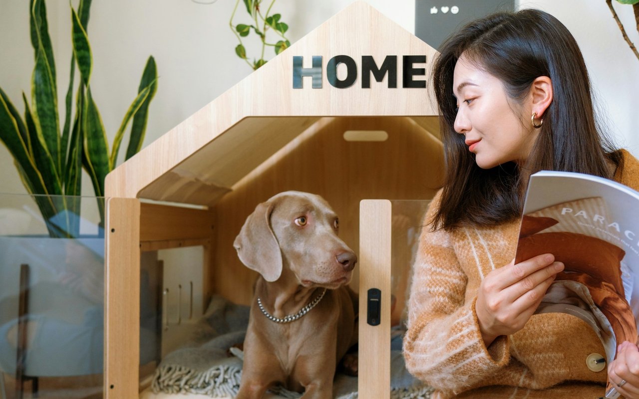 Expert Questions to Ask When House-Hunting with Pets in Mind