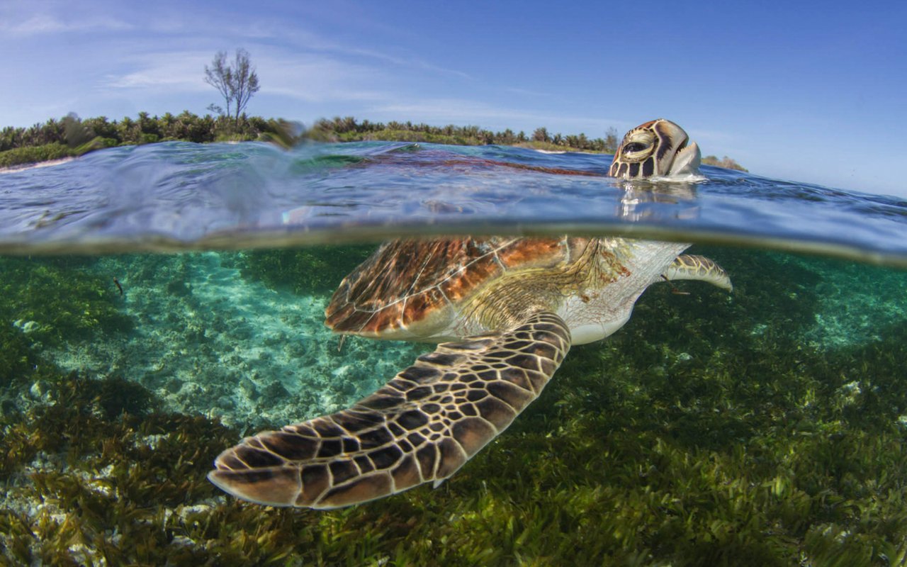 Fresh Air, Clear Minds