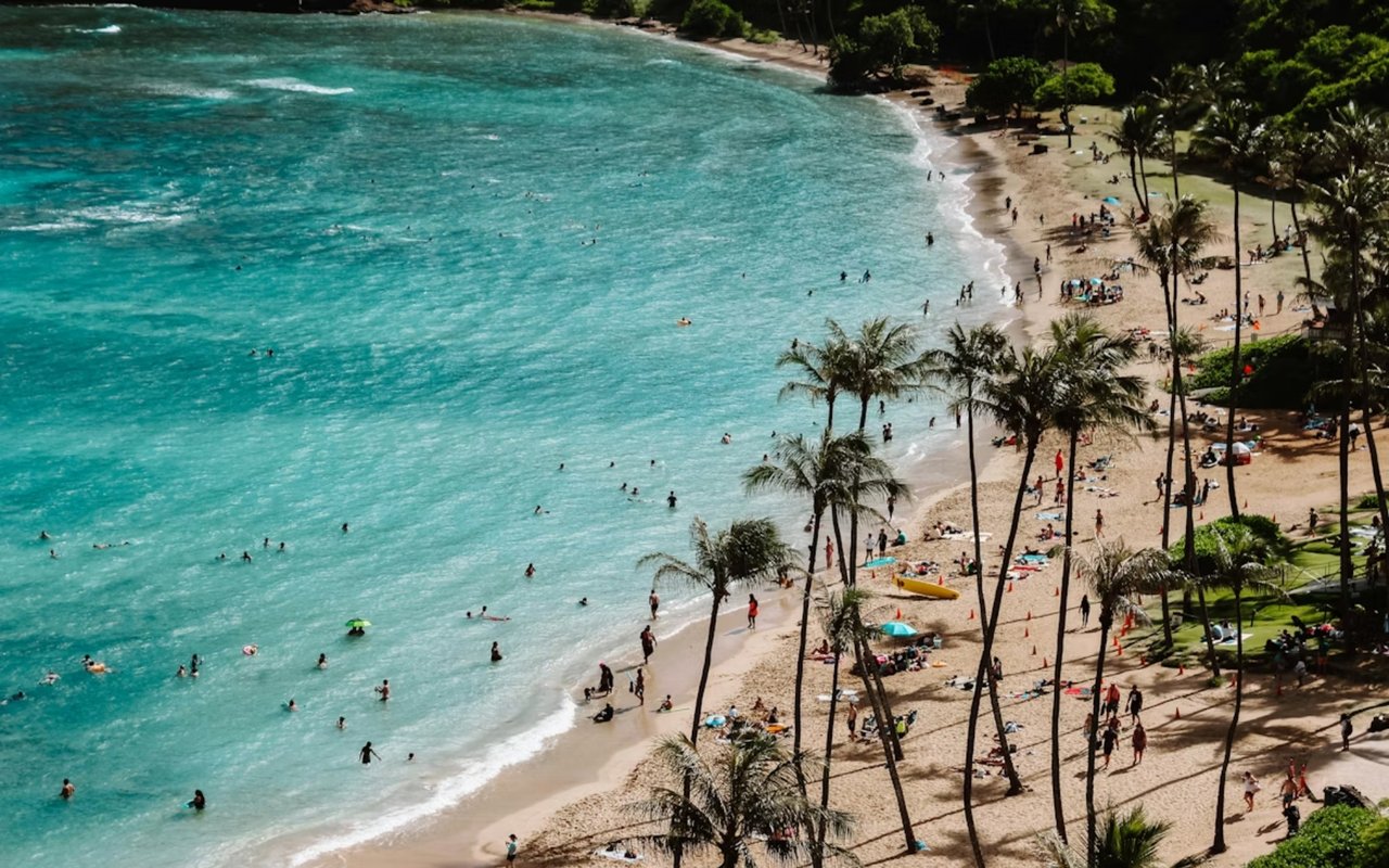 Finding Hidden Gems in Honolulu cover