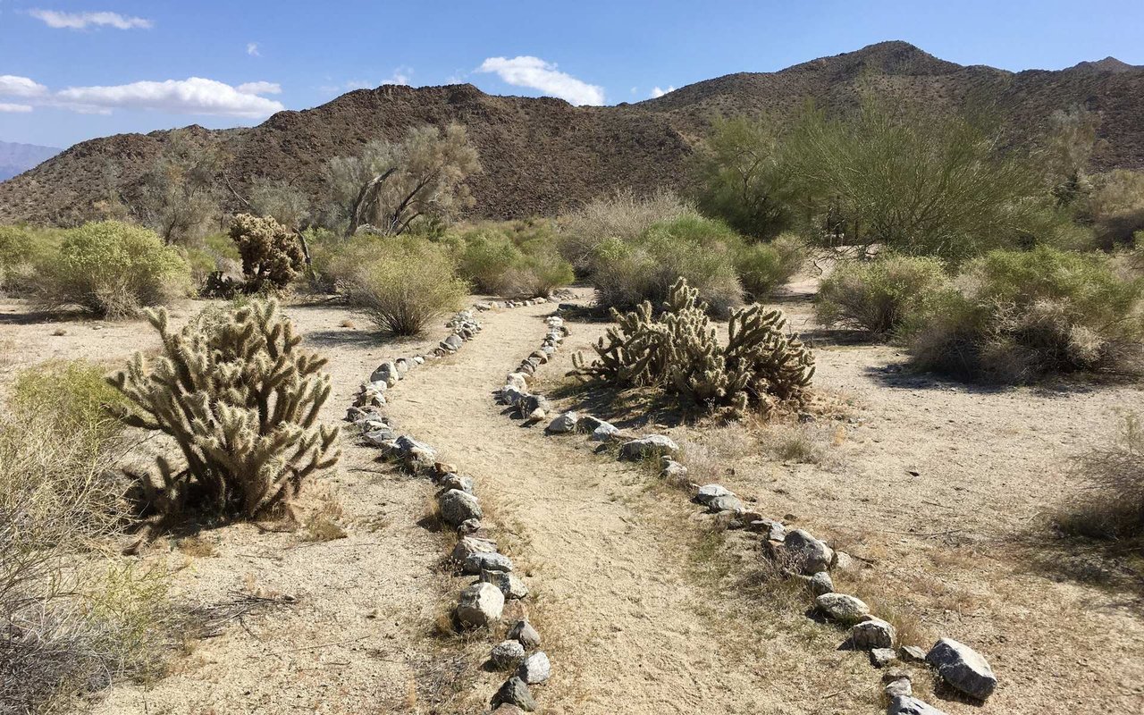 Desert trail landscape photographed in Palm Desert in 2020