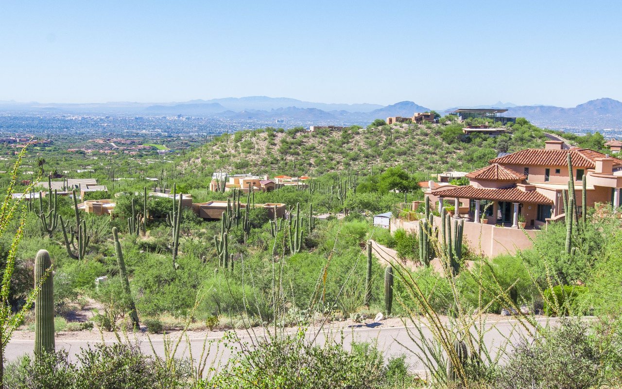 Dove Mountain