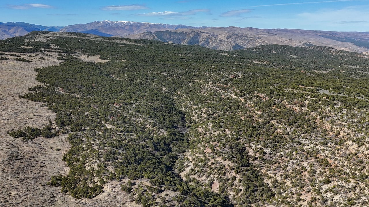 1 W Elk Meadows