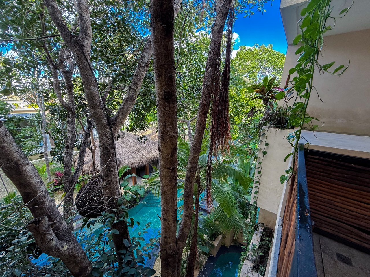 Maxia Lofts | 1-Bedroom Condo with Plunge Pool for Sale in Tulum 