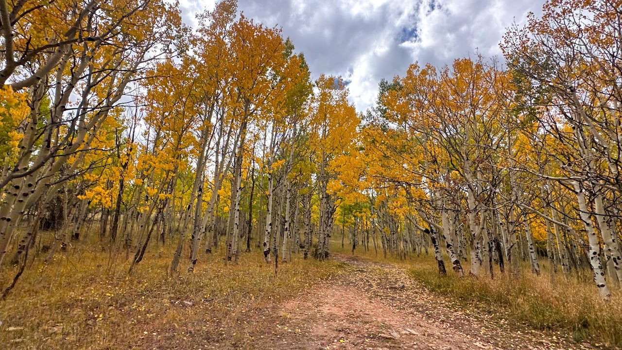 Exploring Colorado’s Gold Belt Tour: A Jeep Adventure Like No Other