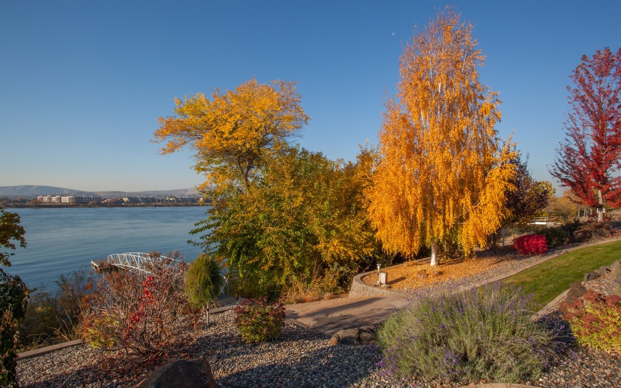 What Will 2016 Hold for the Tri-Cities Economy & Housing Market
