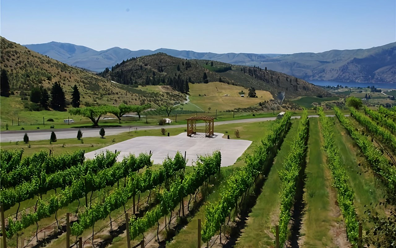  An expansive vineyard scene on a sunny day, with rows of green grapevines stretching from the foreground towards a paved area with a small wooden pergola.