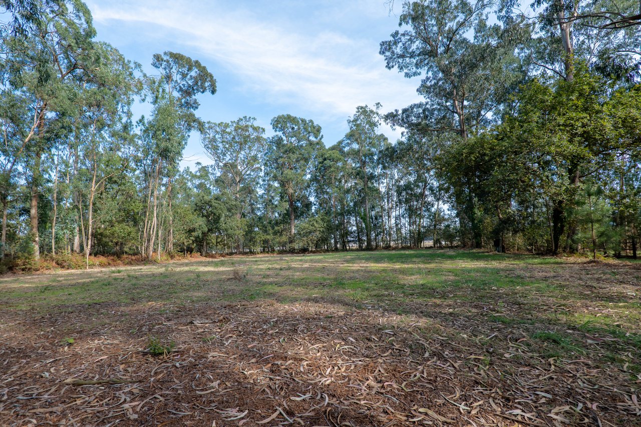 Equestrian Estate in Lavra with 13,000 m² just 800 Meters from the Beach