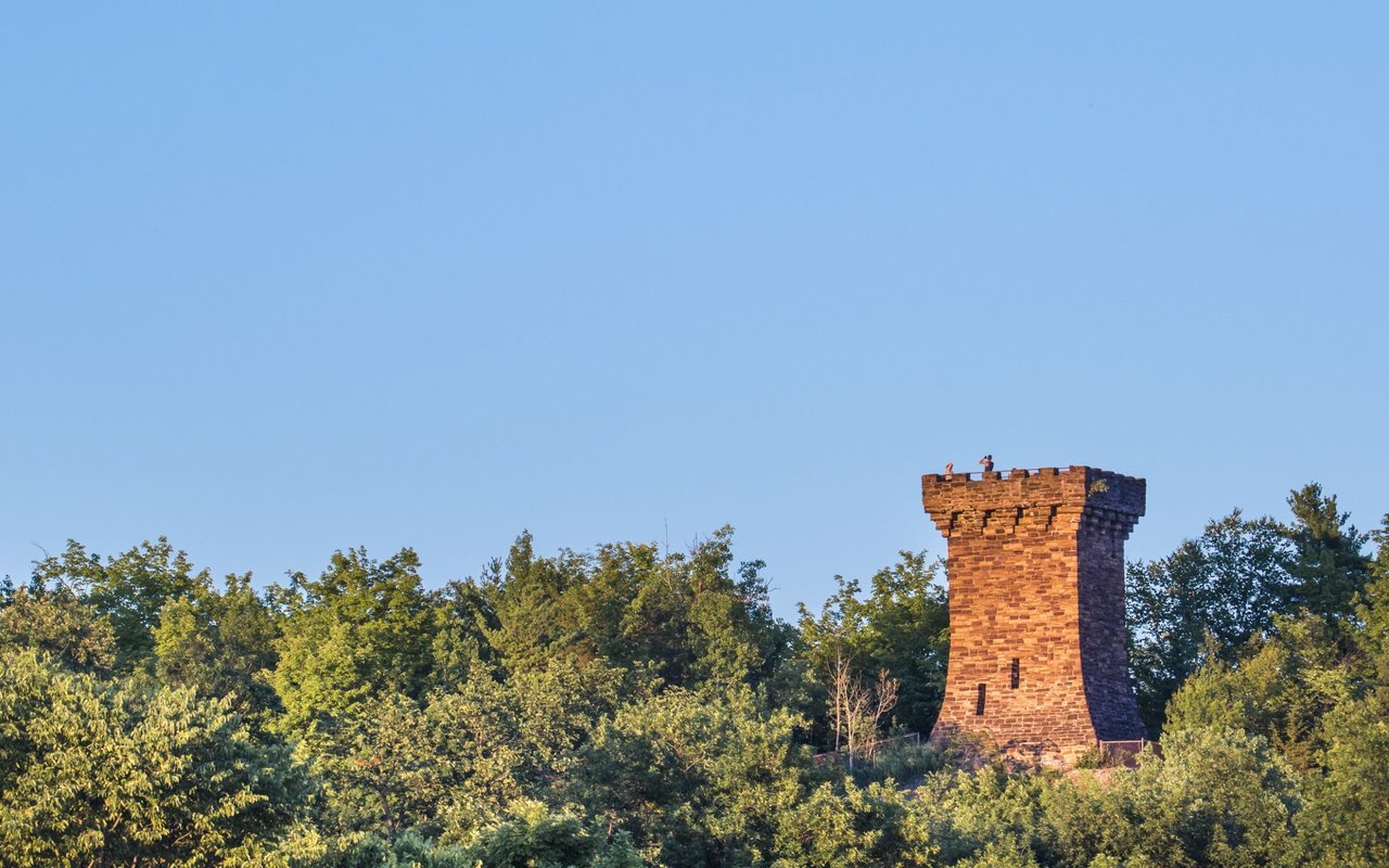 Burlington New North End