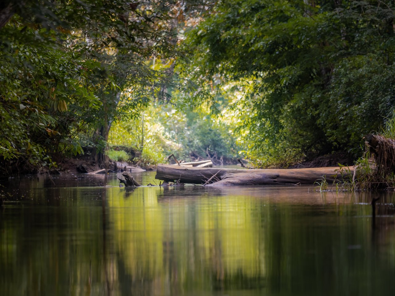 776 Hectares Prime Land in Osa | Ocean Views, Waterfalls, Rivers & Sierpe River Access