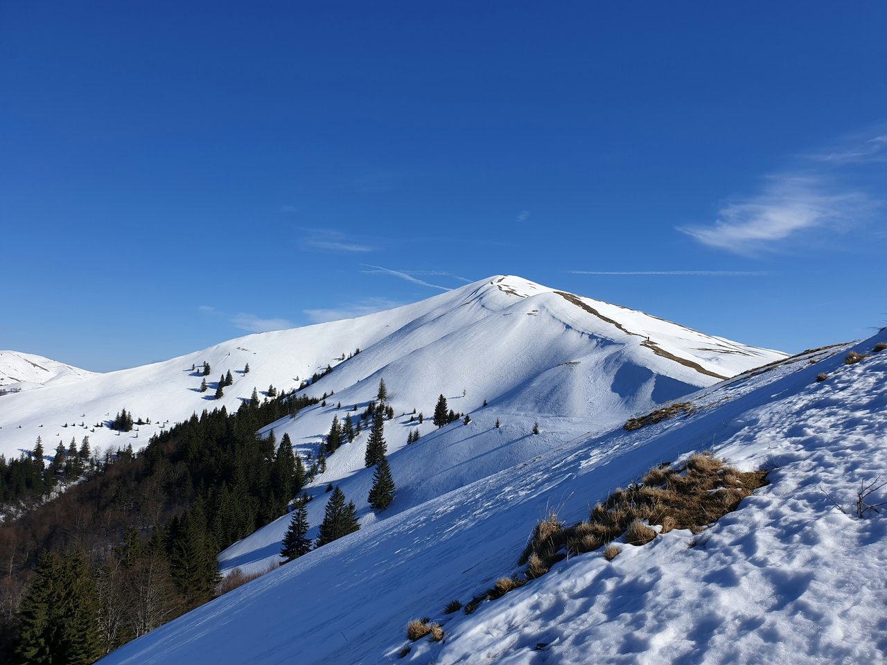 Mt. Spokane Ski Park