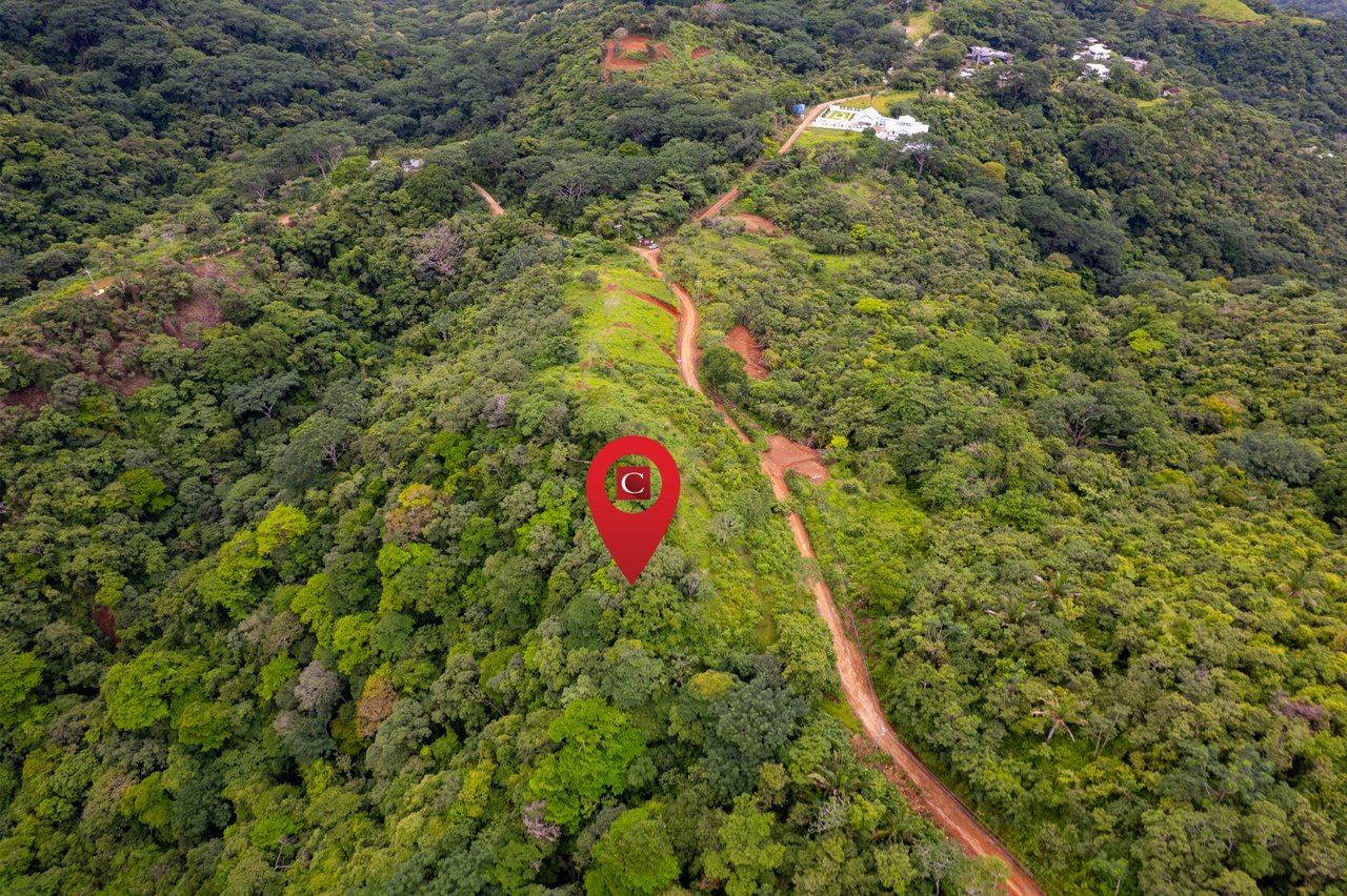 Finca El Toledo – A Signature Property for Visionary Development