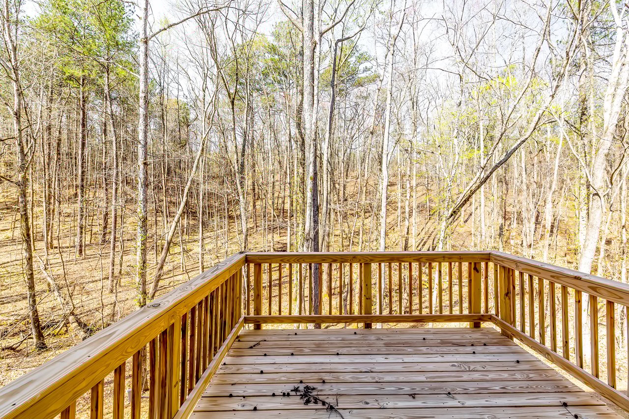 407 Shoals Trl