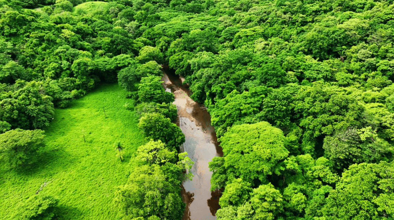 Eco Sanctuary In Playa Marbella - 250 Acre Riverfront