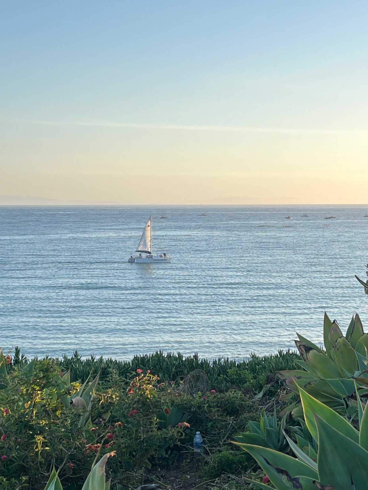 Golden Season: Fall in Santa Barbara