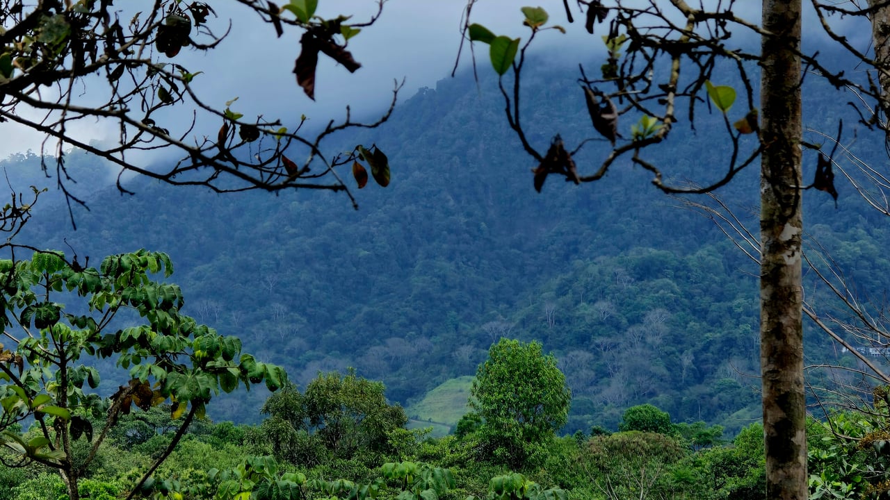 Beautiful mountain view land located in a quiet community in Ojochal. 