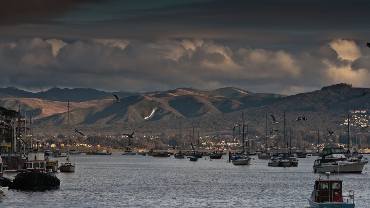 Los Osos