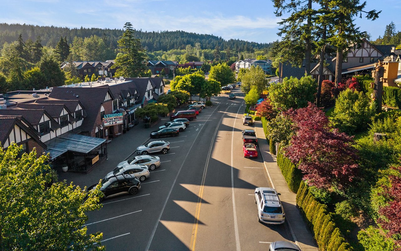 Aerial view of Lynwood Center’s shops and tree-lined street, with forested hills beyond.