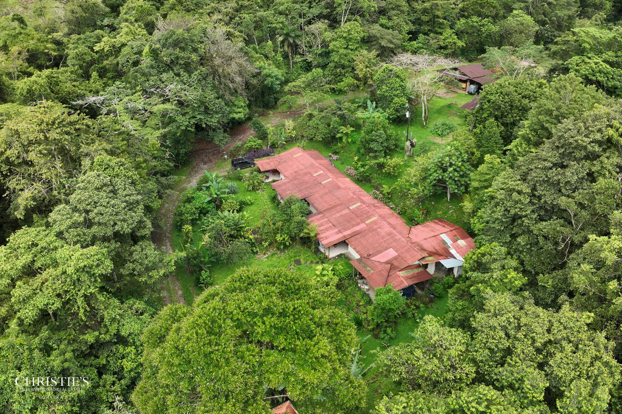 Finca Isla Rainforest Retreat – A Rare Income-Producing Paradise