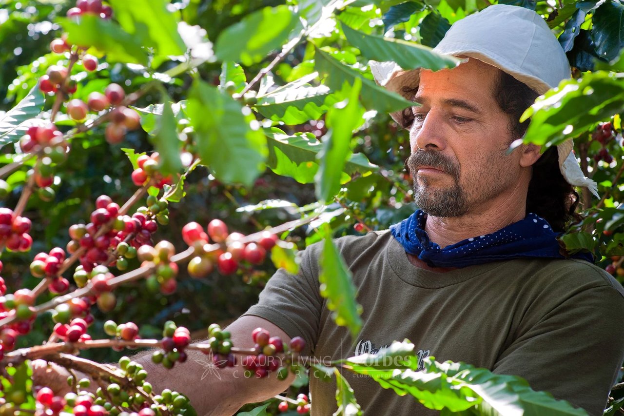 20646 - Boutique Hotel for Sale in the Mountains of Heredia