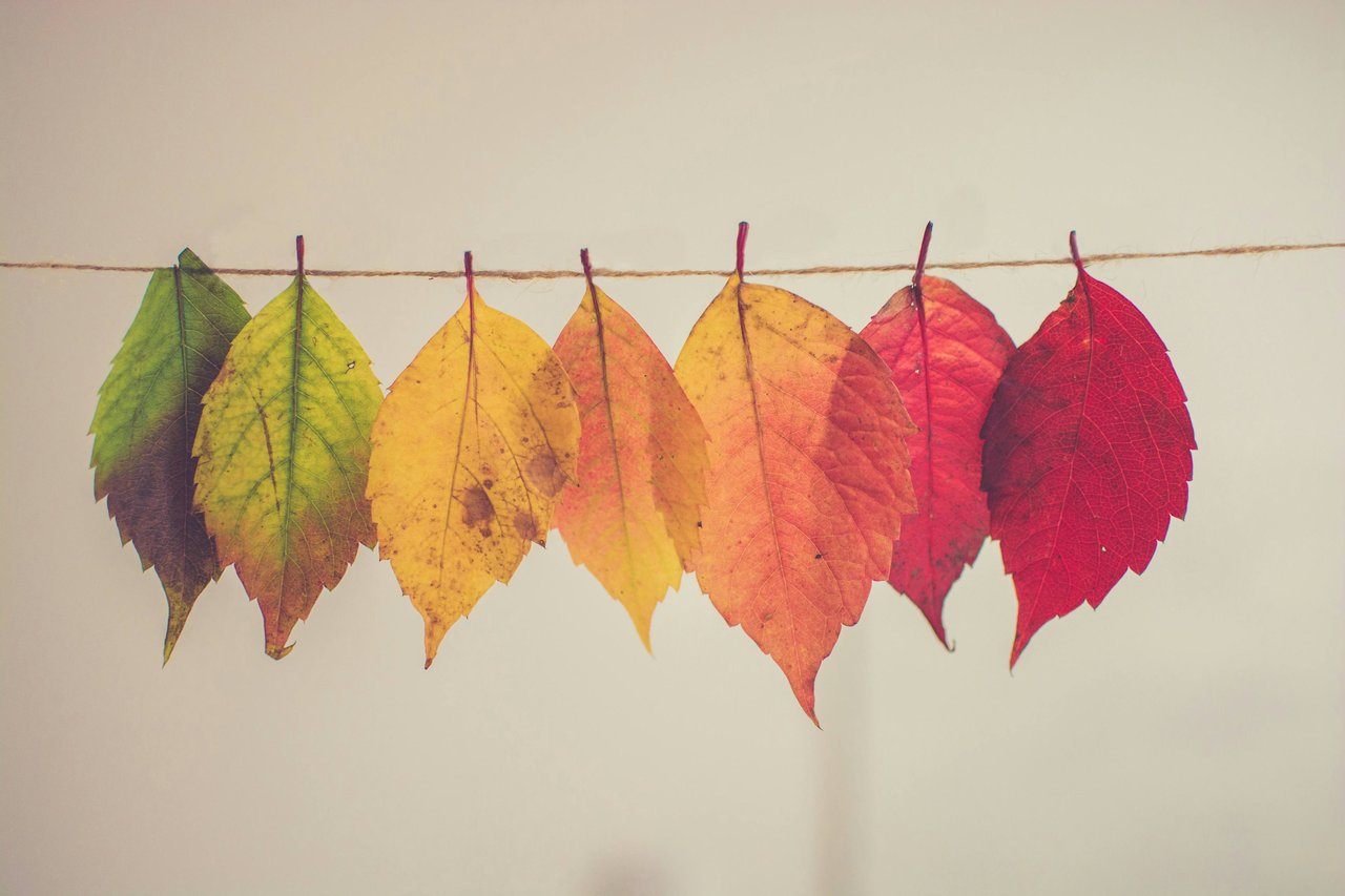 A Palpable Change Coming
