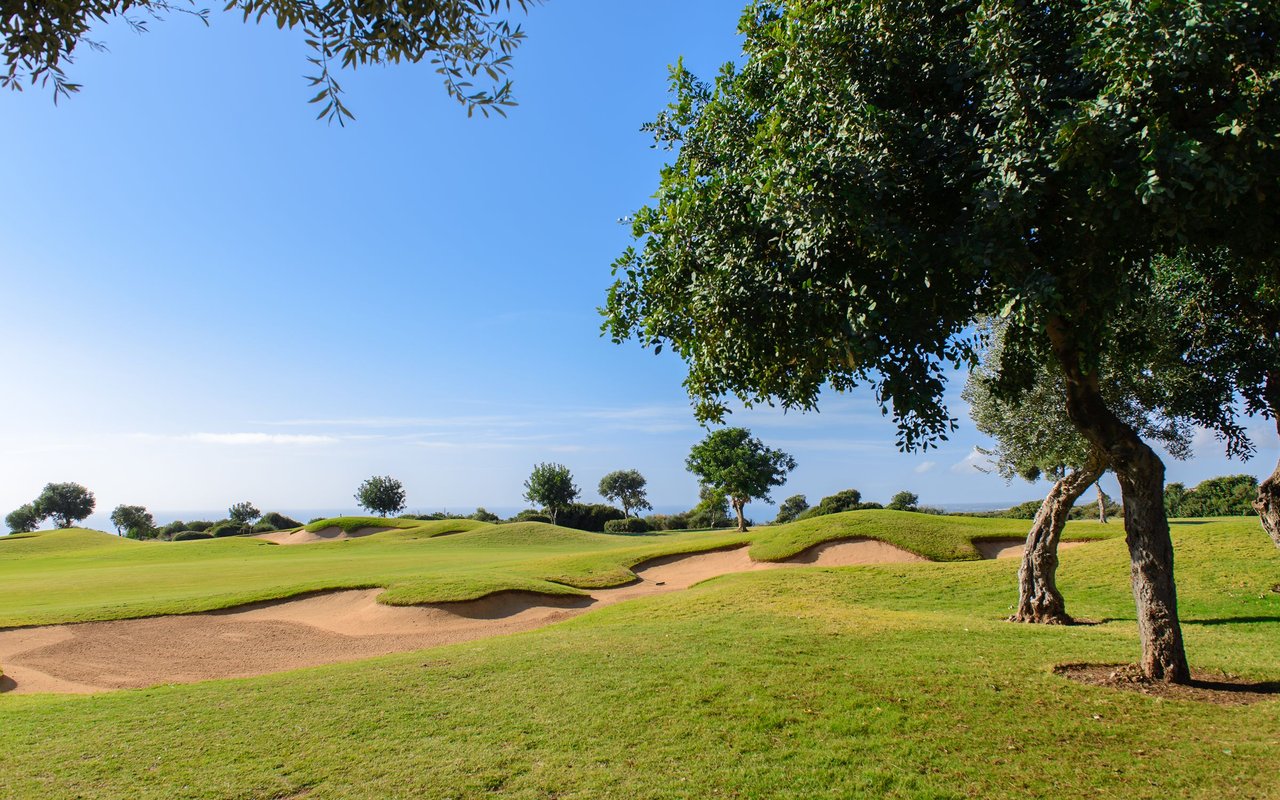Golf course with rolling fairways, sand bunkers, and a large tree in the foreground.