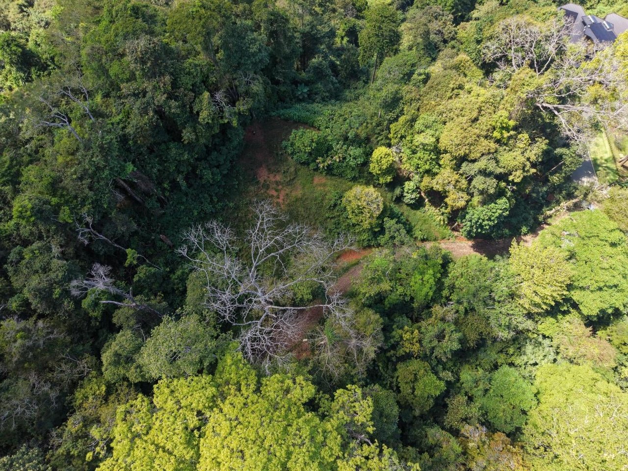 Premier Ocean View Homesite, Dominical, Puntarenas