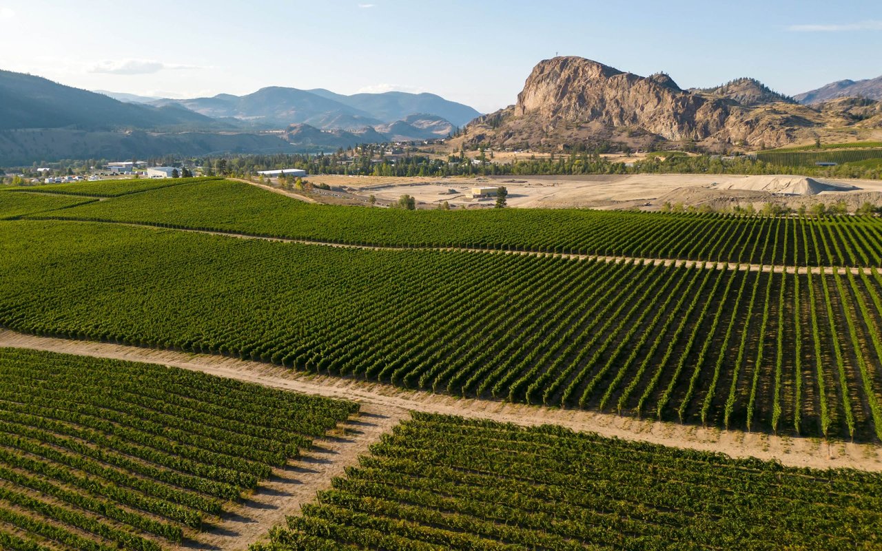The Kelowna Rennie Advance | May 2025