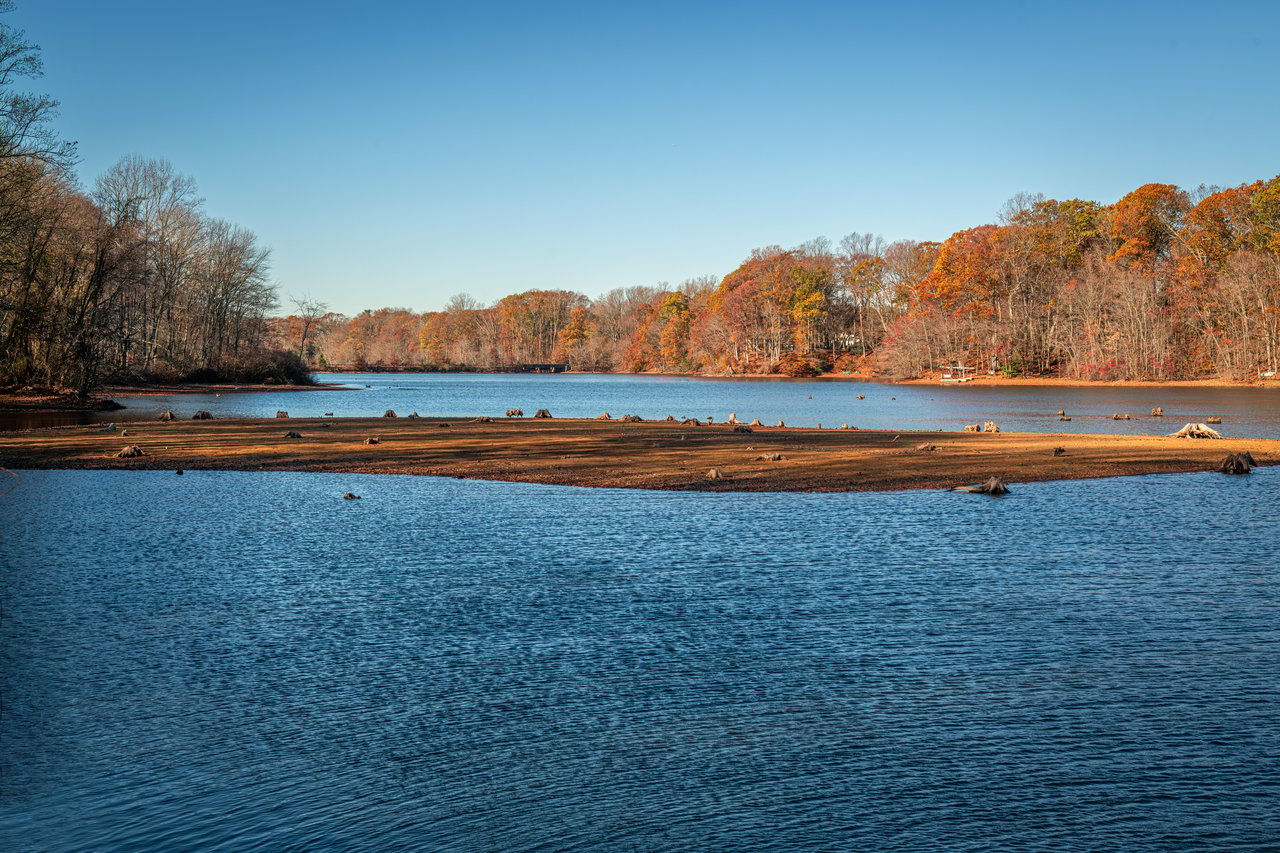 Colts Neck