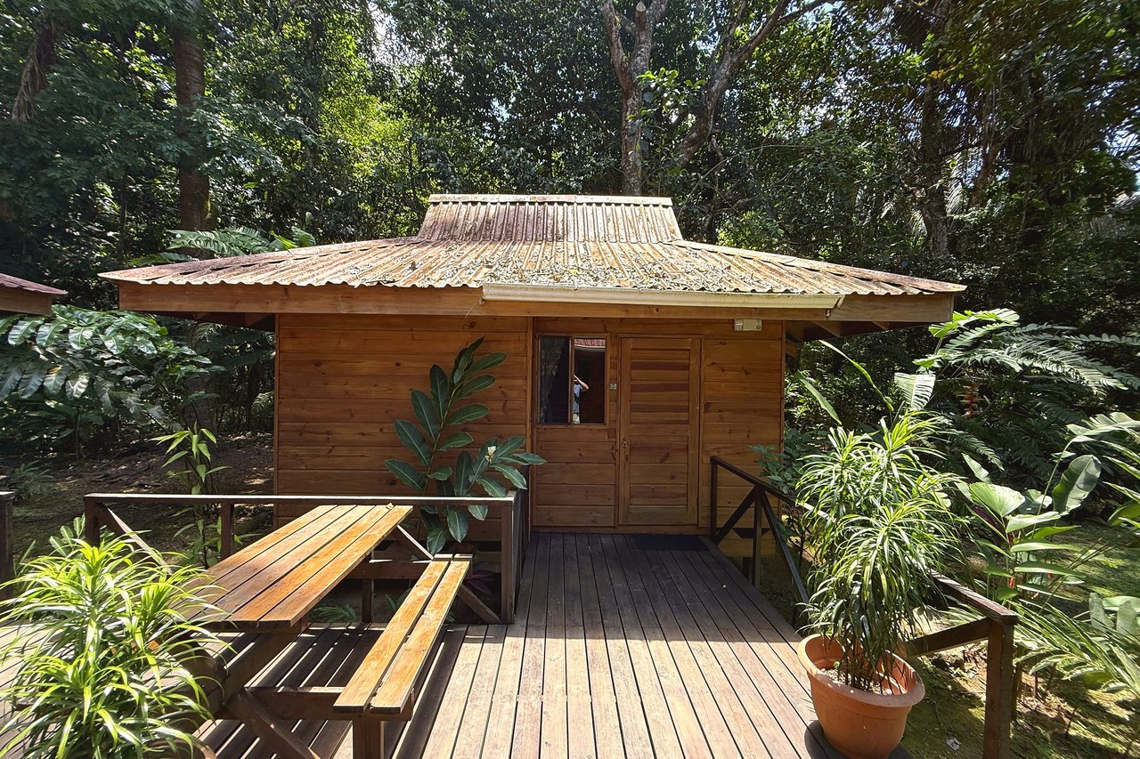  Gorgeous Jungle Hotel with 11 Beds including Owner/Manager Unit, Sparkling Pool & River Setting in Ojochal Costa Rica