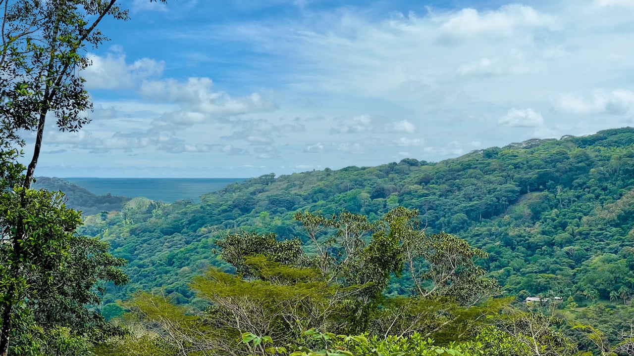 Jungle Canopy Retreat with Ocean, Cano Island & Mountain Views Near Dominical