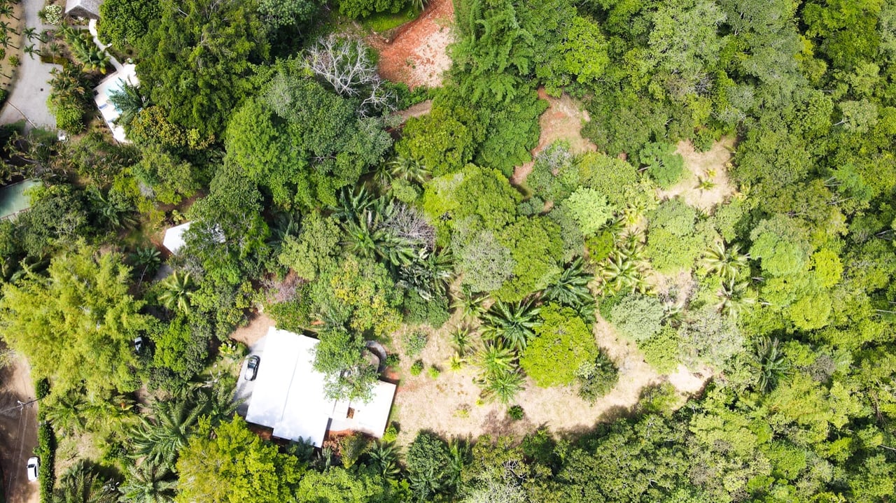 Five Star Private Rainforest Estate on Acreage with Creek