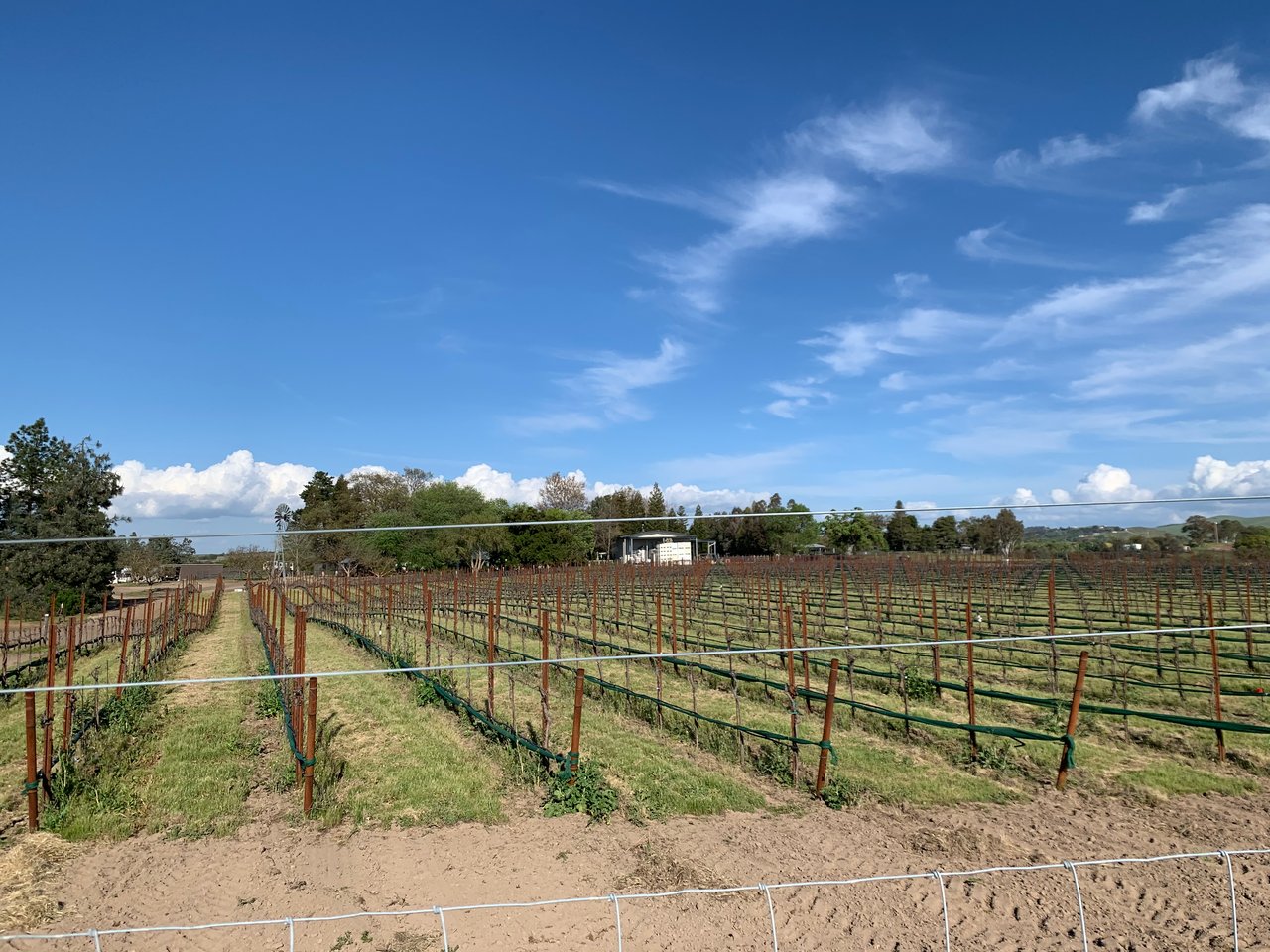 Paso Robles Land Market