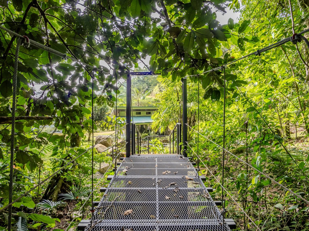 Self-Sustaining Mountain Estate for Sale in Costa Rica – 7.63 Acres with Waterfall, River & Multiple Homesites