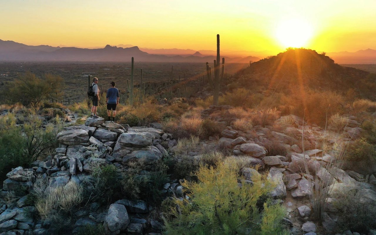 Why Choose Saguaro Ranch?