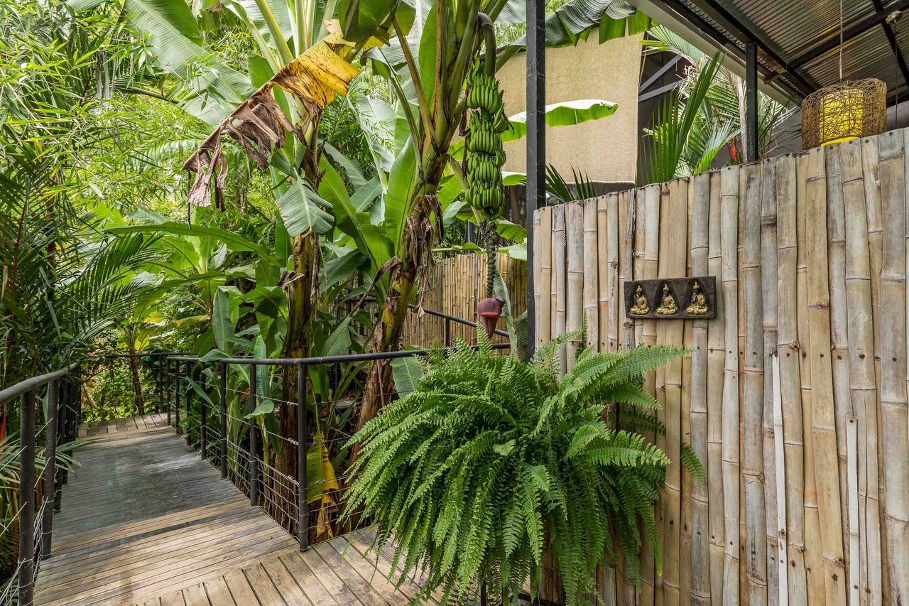 Profitable Business Dominical Yoga Retreat Property with Ocean Views