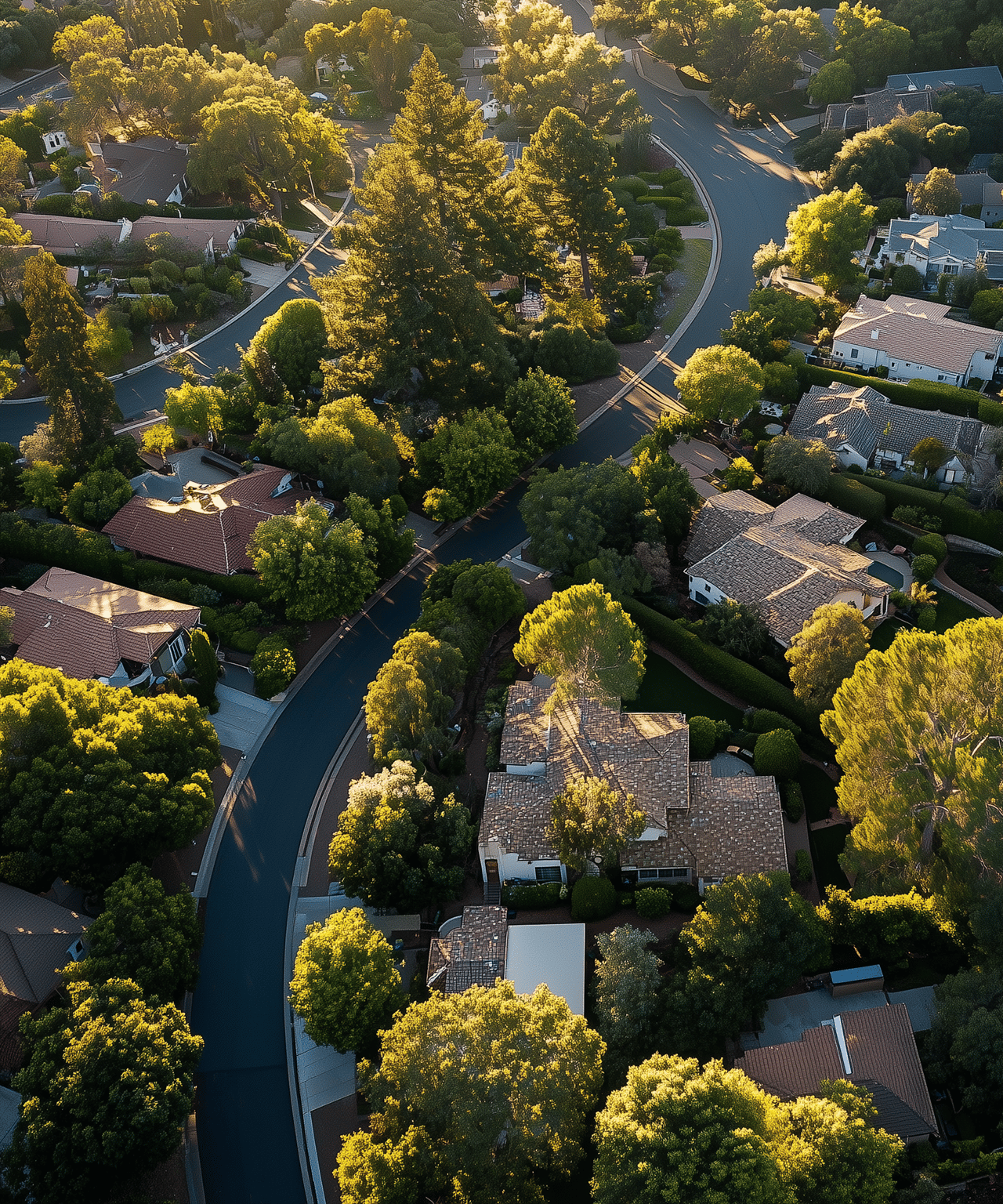 Aerial view of a tree-lined neighborhood with detached homes and curving streets in golden-hour light.