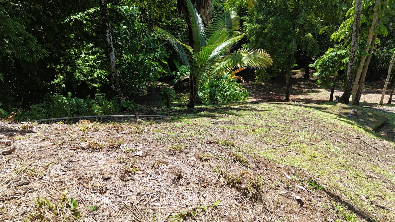 Walk to the Playitas beach, Titlled Building lot