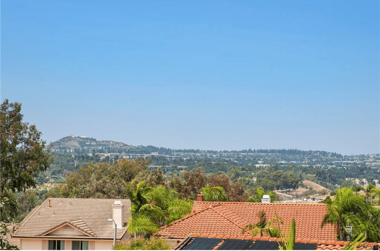 23921 Catbird Court