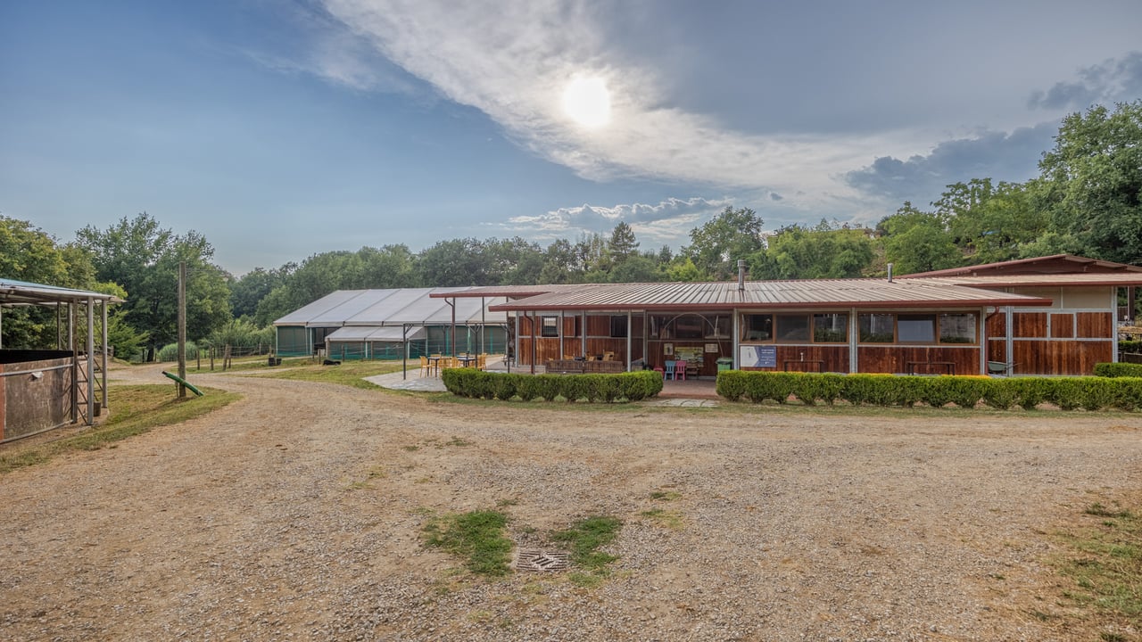 TENUTA CAVALLI CELTI