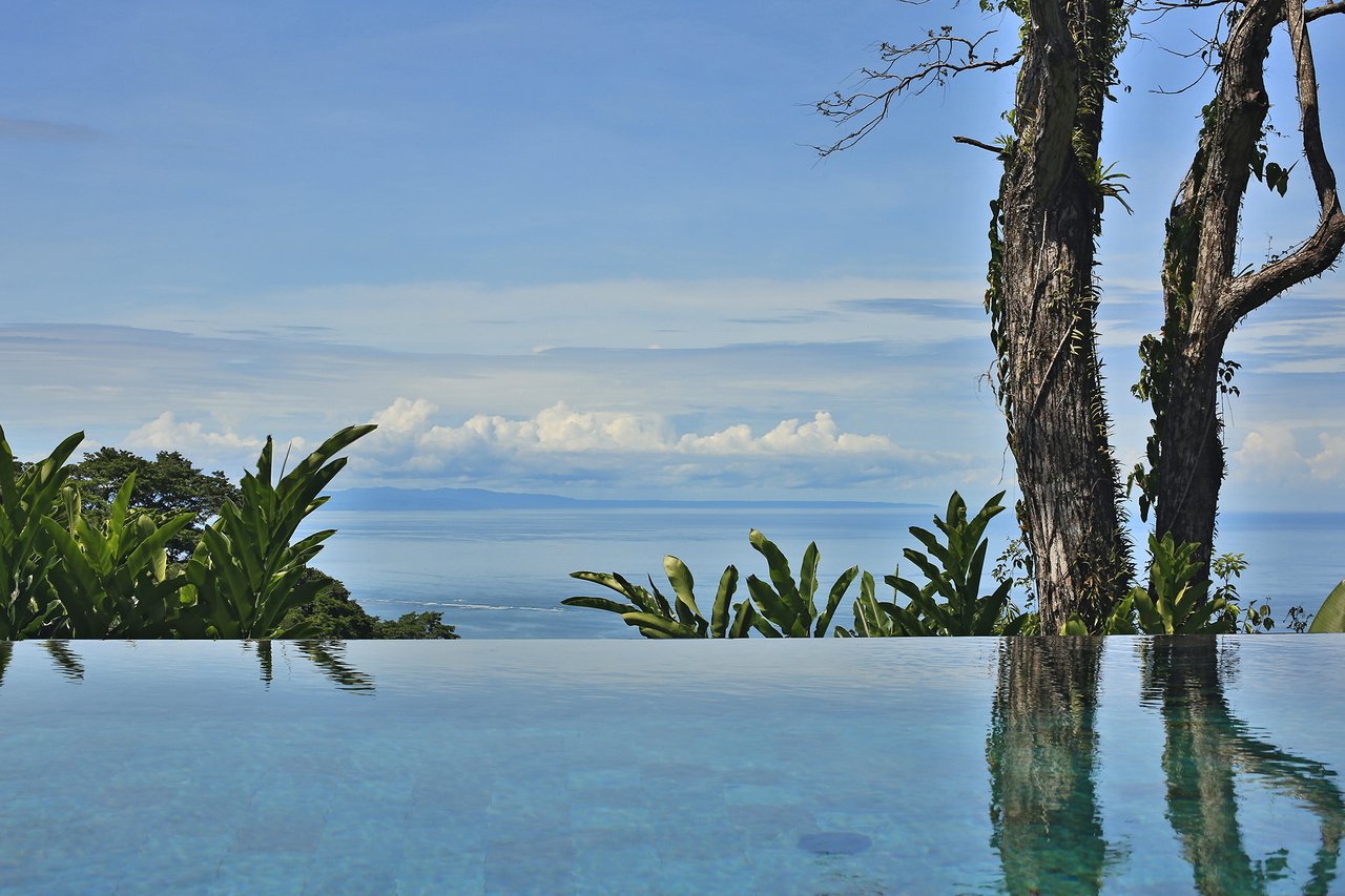 Casa Sanctuary ·  Luxury Jungle Villa · Whale Tail View