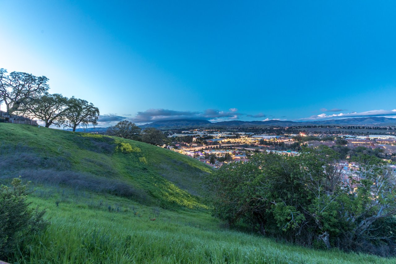 Bollinger Hills San Ramon: Neighborhood Guide for Buyers and Sellers (2026)