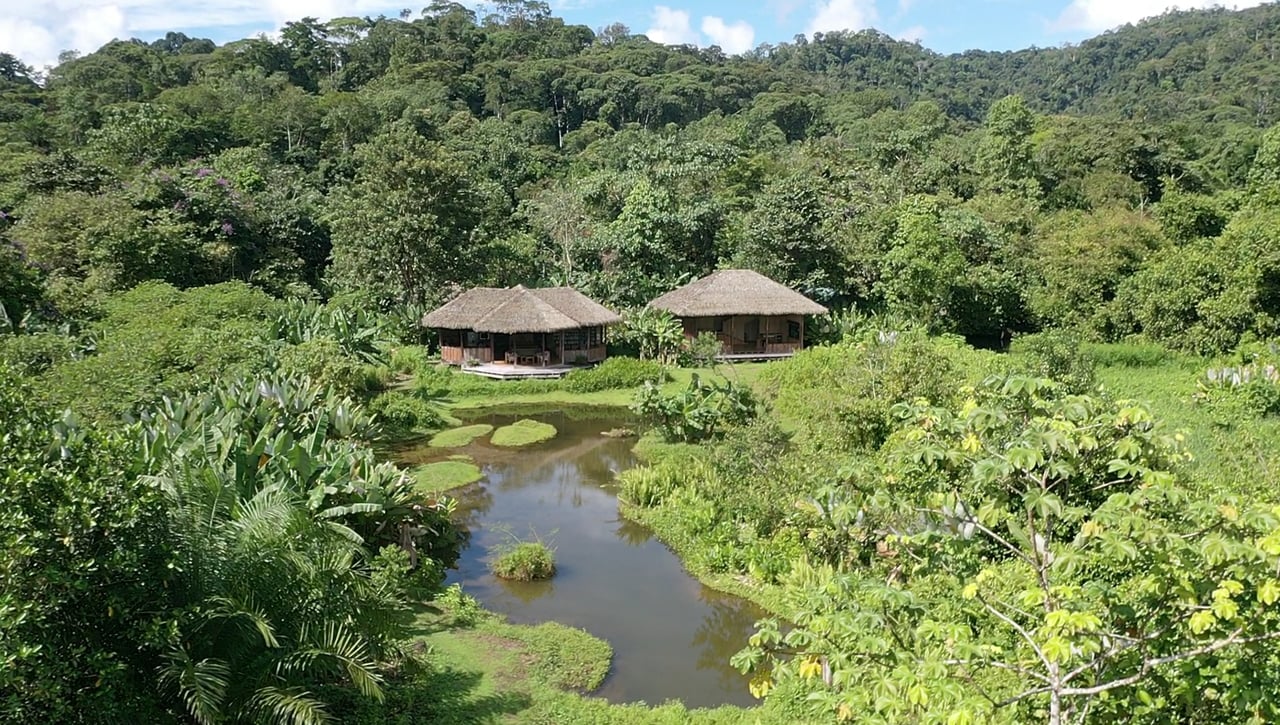 60 Acre Fully Sustainable and Impactful Conservation Initiative Near Golfito