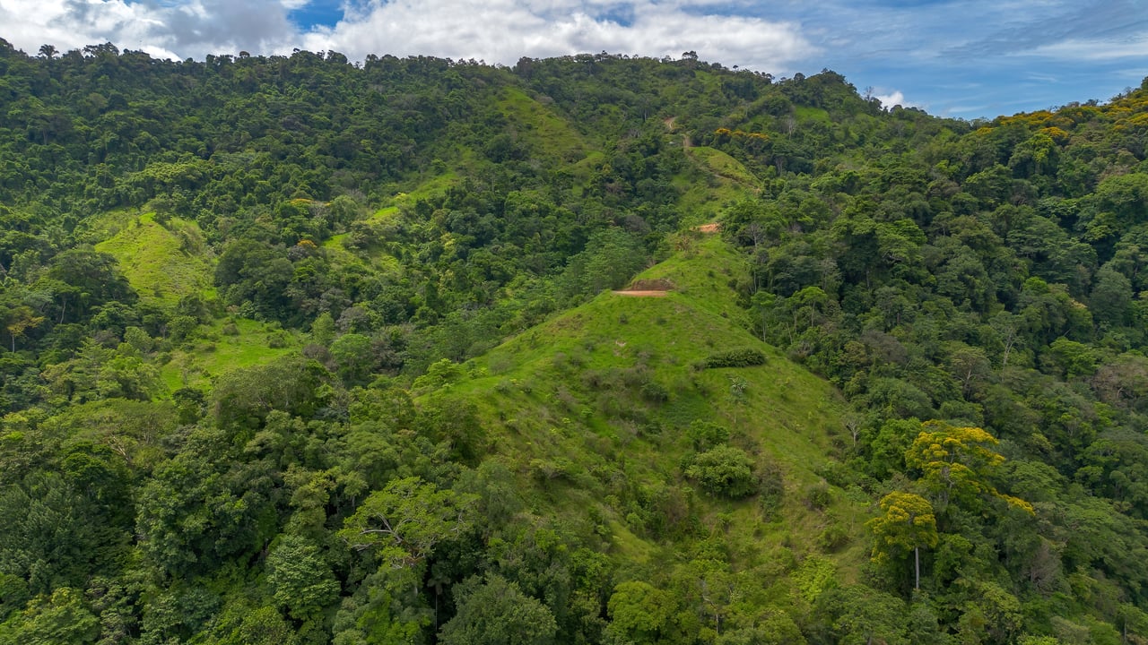60 Hectares in Platanillo 