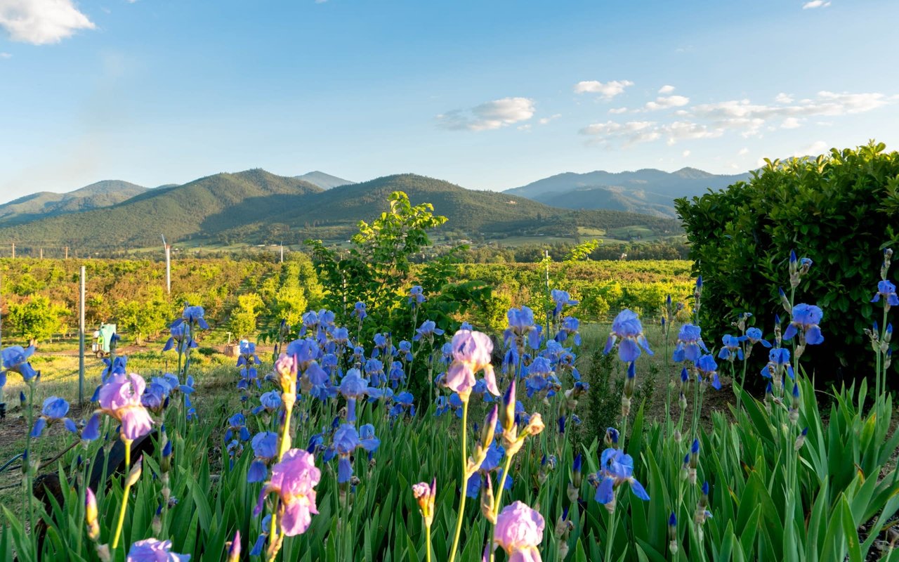 White City, Oregon