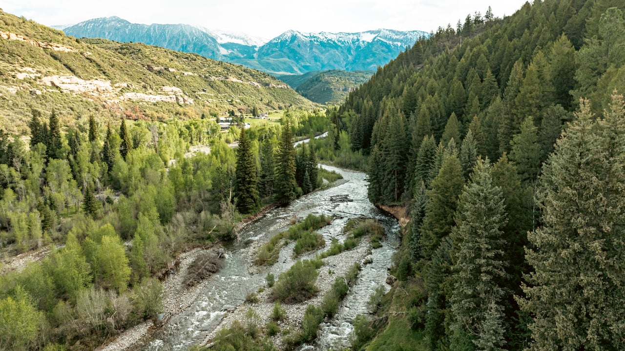 Rocky river winds through a forested valley beneath distant snow-dusted mountains.
