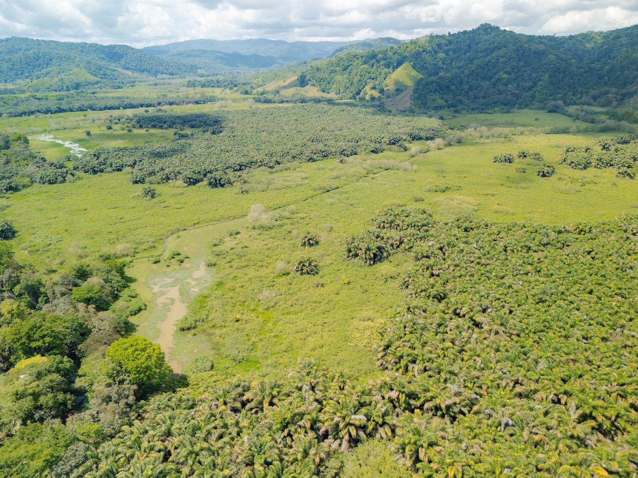 776 Hectares Prime Land in Osa | Ocean Views, Waterfalls, Rivers & Sierpe River Access