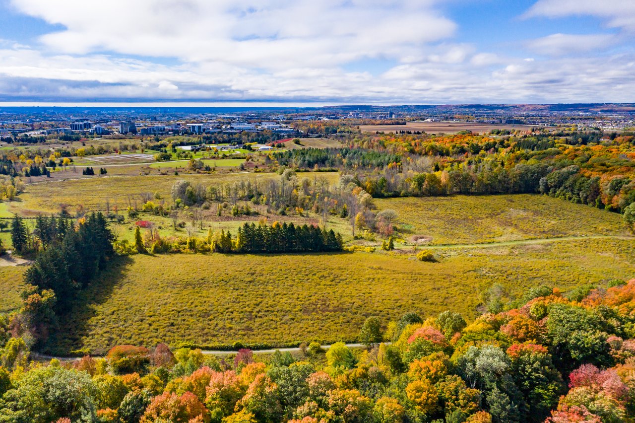 Land and Development