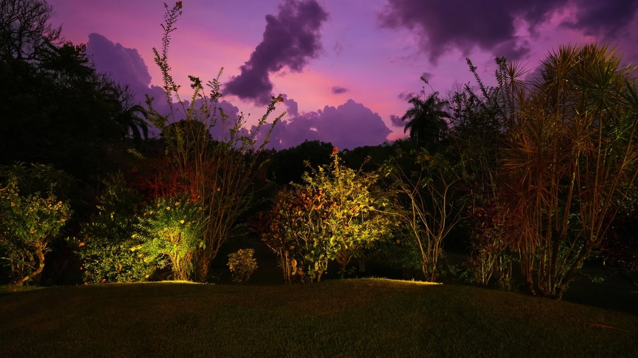 Stunning 2-Bedroom, 2-Bathroom Home with Pool on a Spacious Lot in Ojochal – Calle Papagayo